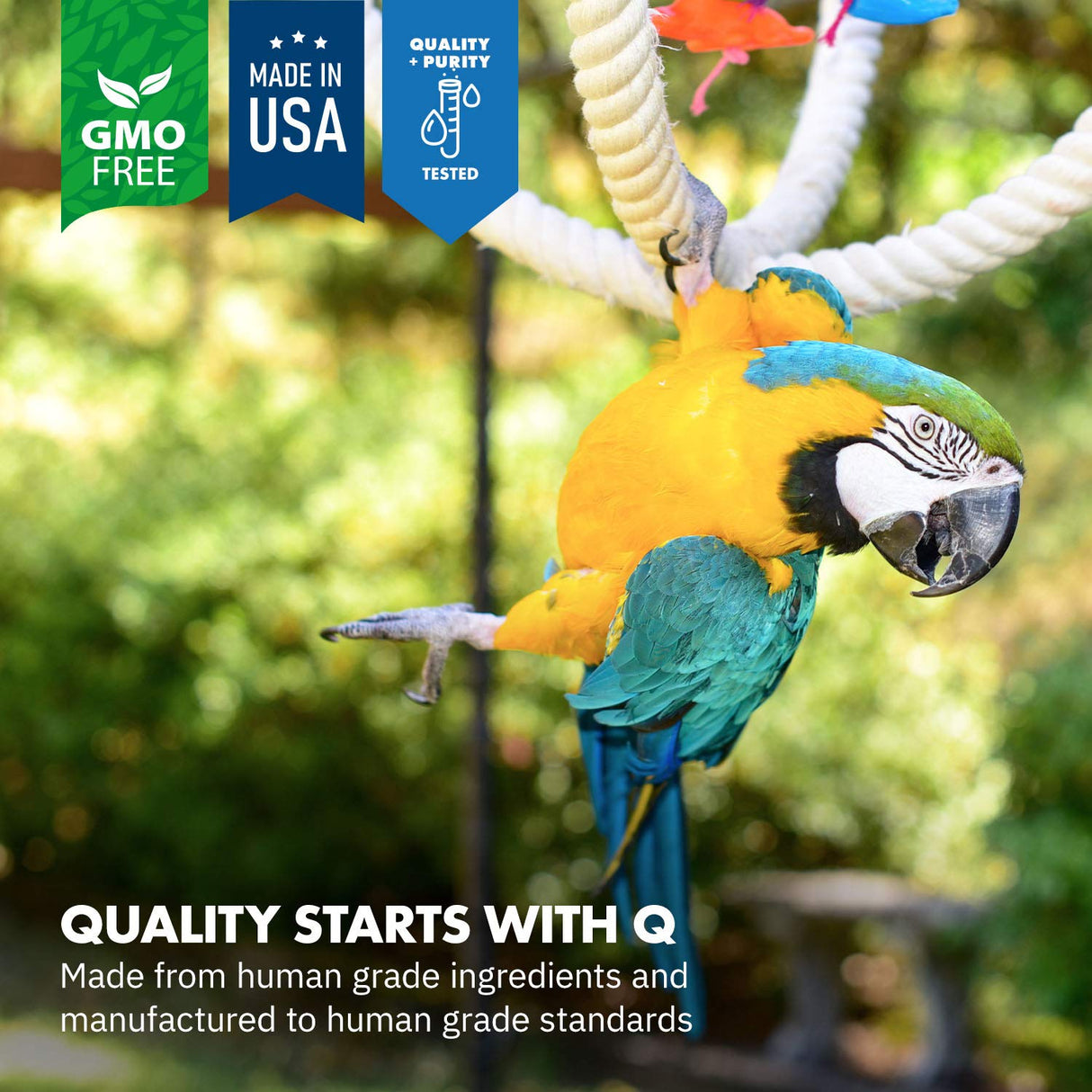 Equa Holistics HealthyGut™ Avian Probiotics Dietary Supplement for Parrots, All-Natural Digestive System Formula (120 Servings)