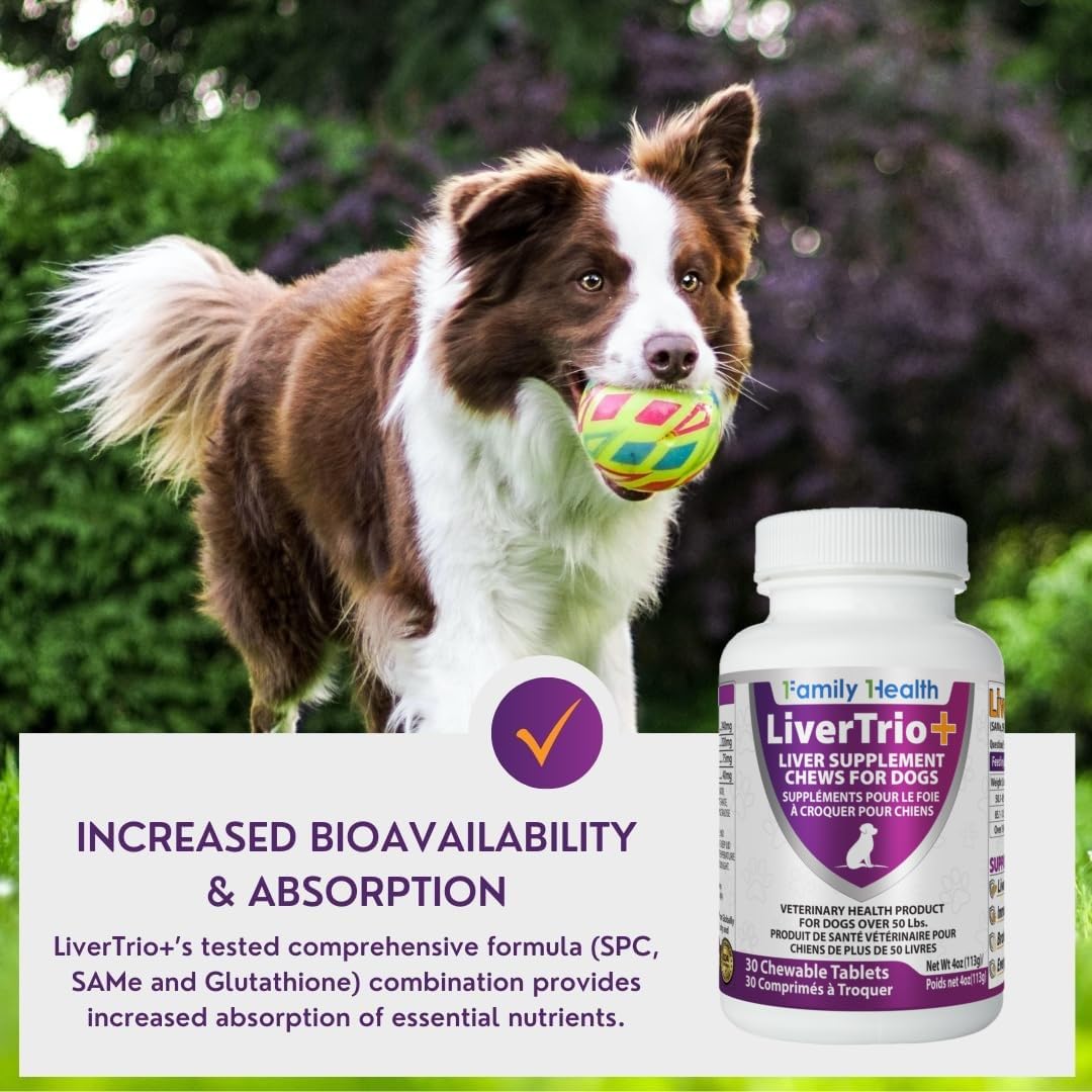 LiverTrio+ Comprehensive Liver Support Supplement for Smaller Dogs. Flavorful Chewable Tablets Combining Same, SPC, Silybin A+B, + Glutathione 30Ct (Small - Medium)