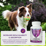 LiverTrio+ Comprehensive Liver Support Supplement for Smaller Dogs. Flavorful Chewable Tablets Combining Same, SPC, Silybin A+B, + Glutathione 30Ct (Small - Medium)