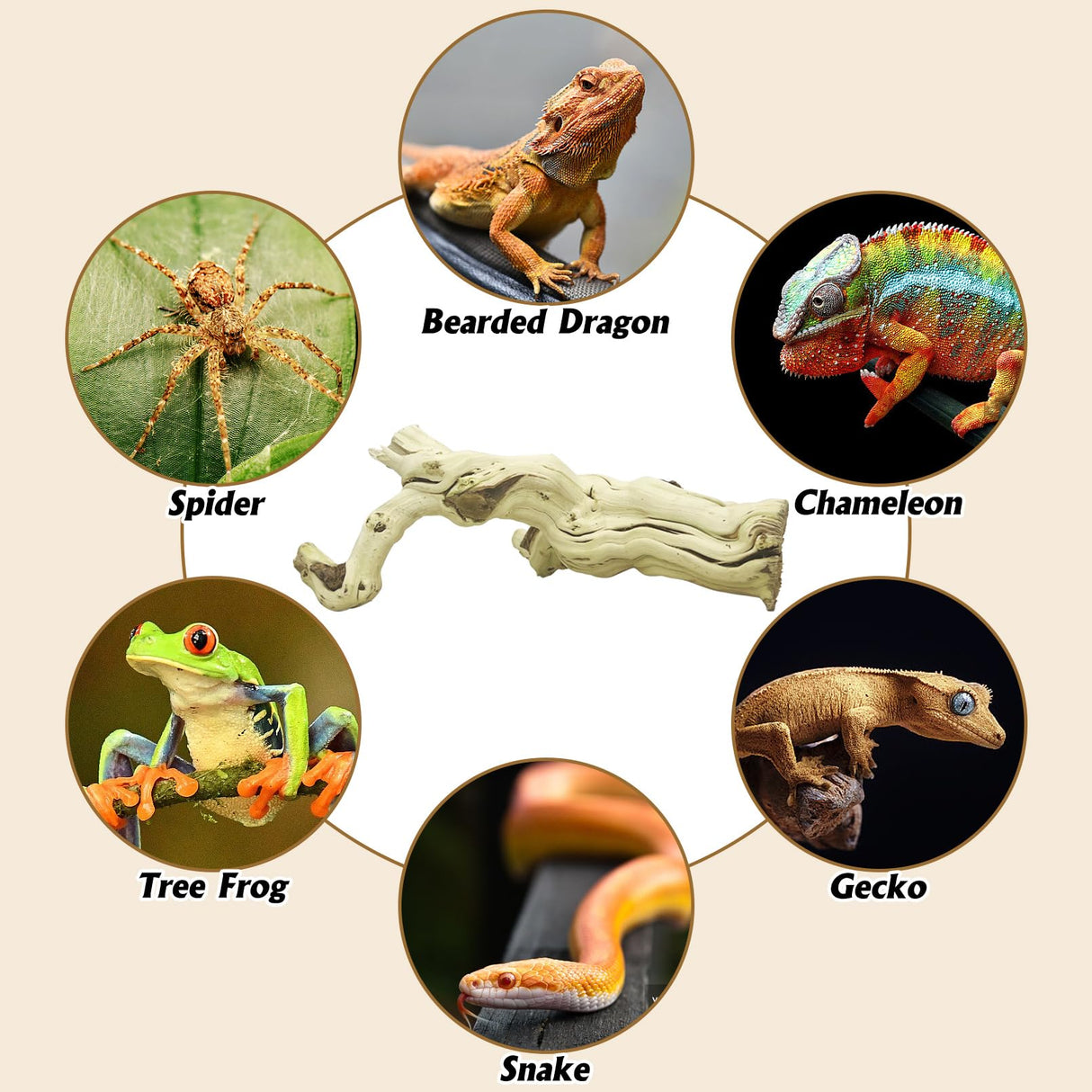 VCEPJH Large Snake Climbing Branch Decor 15.5 in Natural Reptile Wood Cork Log Bearded Dragon Tank Accessories Tree Trunk for Chameleon Gecko Ball Python Frog