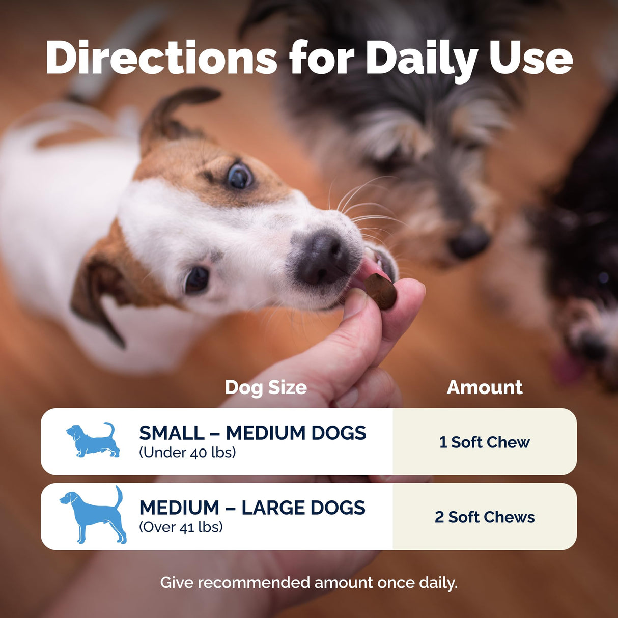 Vetnique Glandex Daily Probiotics for Dogs with Prebiotics to Support Gut Health with Fiber and Digestive Enzymes, Probiotic Chews or Powders (60ct Chews, Bacon Chews)
