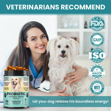 Load image into Gallery viewer, Probiotics for Dogs Gut Digestive Health Probiotic Chew for Dogs Digestive Enzymes Relieve Diarrhea Immunity Oral Problems Itching Constipation Prebiotics Dog Probiotics 200 Tablets Chicken Flavor
