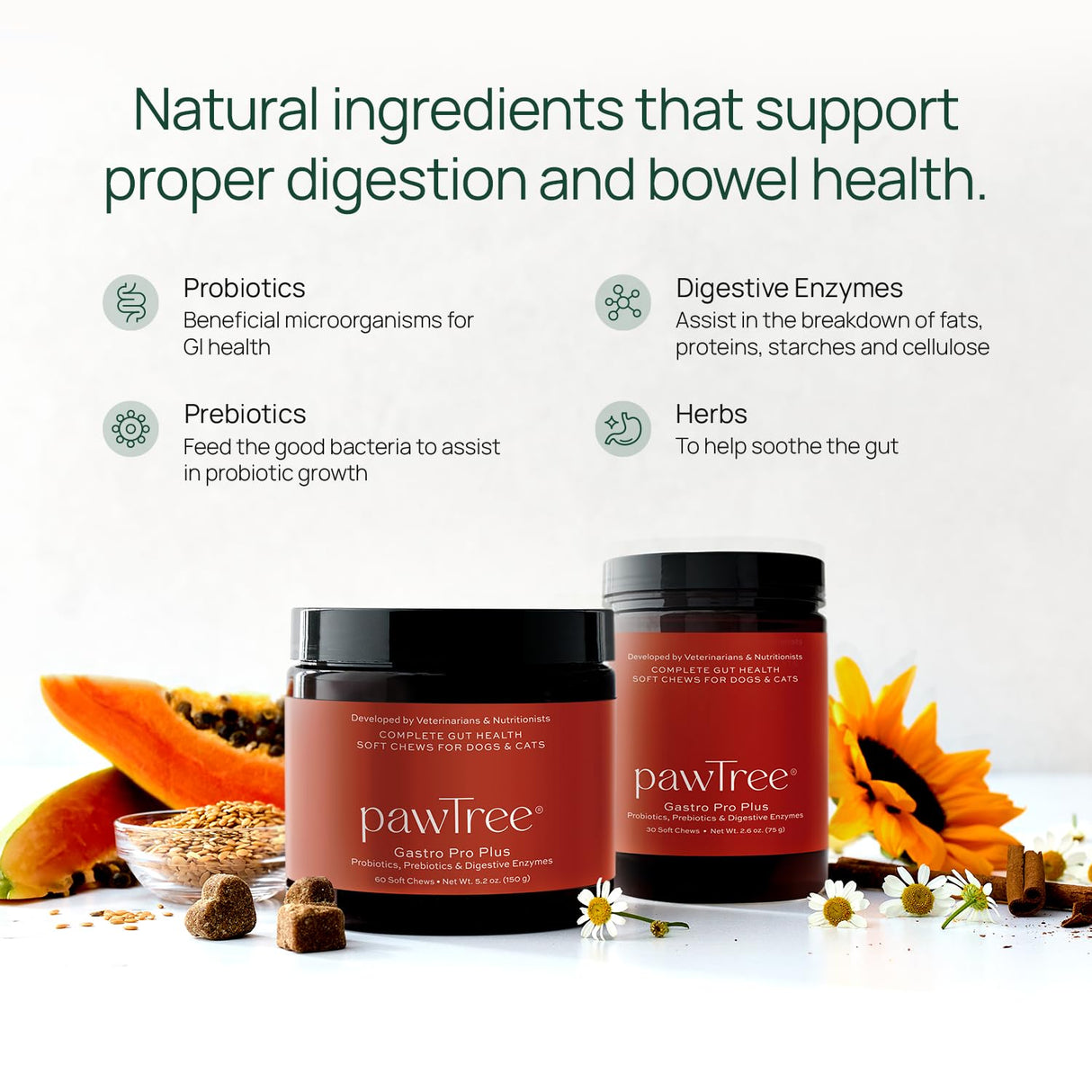 pawTree Gastro Pro Plus® for Dogs and Cats - Probiotics, Prebiotics and Digestive Enzymes - for Sensitive Stomach, Digestive Issues, Loose Stool, and Bad Gas (30 ct)