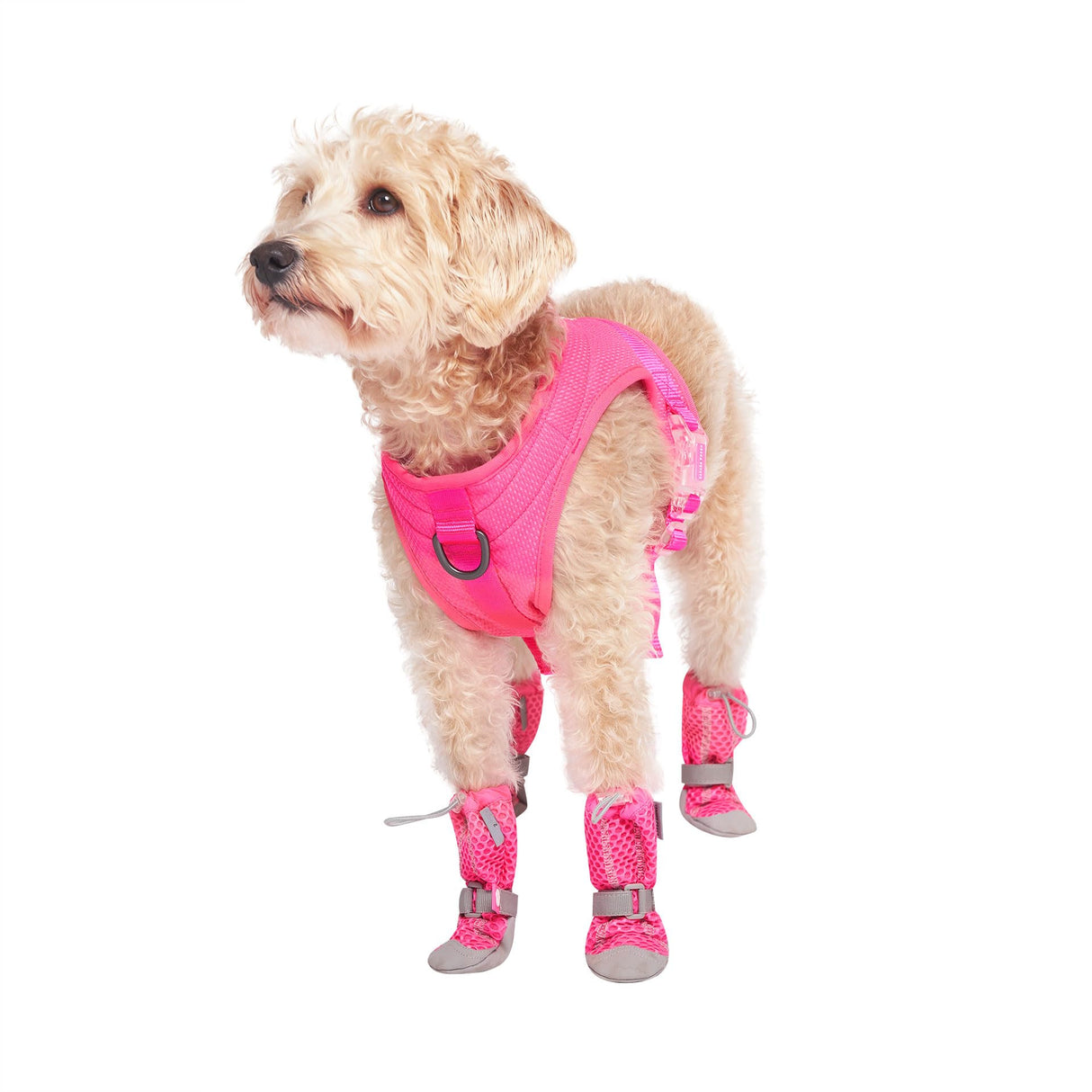 Canada Pooch Dog Boots for Hot Pavement - Dog Boots & Paw Protectors with Anti Slip Rubber | Water Friendly, Breathable Dog Shoes for Hot Days, Great for Dogs Neon Pink - Size 2