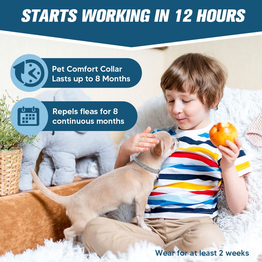 AMDEIUR Flea and Tick Collar for Puppies, Dog Tick Collars, Flea Collar for Small Dogs, Waterproof, 8 Months Protection Each, One Size Fits All-2P