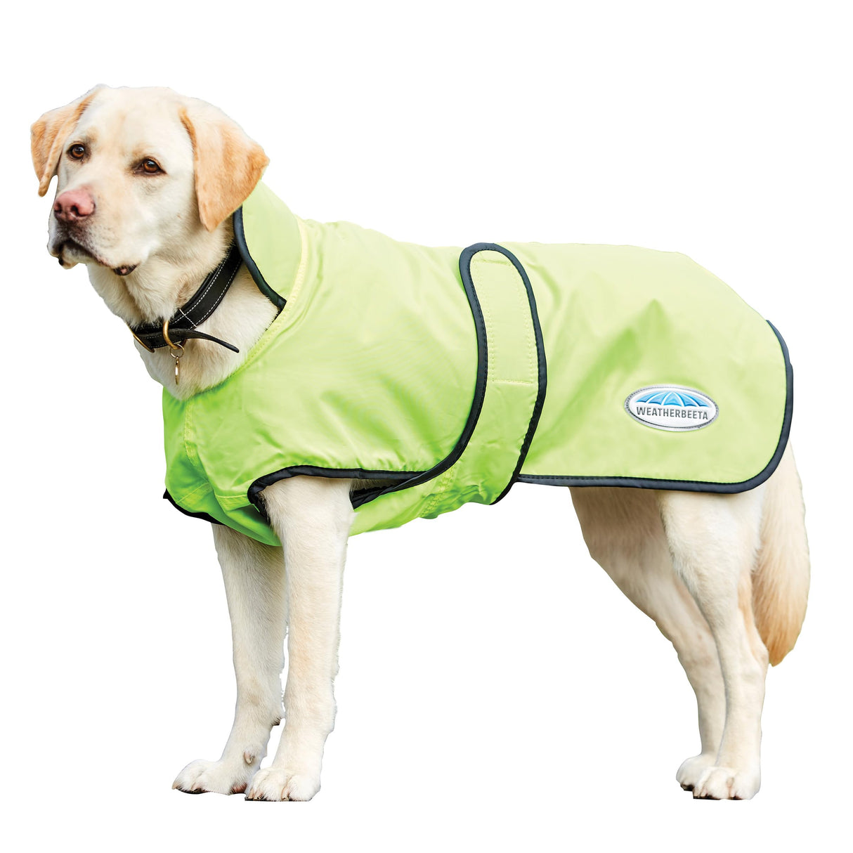 WeatherBeeta ComFiTec Windbreaker 420D Deluxe Dog Coat, Yellow/Black, 22"