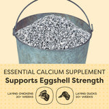 Scratch and Peck Limestone Supplement for Chickens and Ducks - High in Calcium, Made from Pure and Sustainably Sourced Limestone - 8 lbs Bag