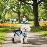 Dog Wheelchair for Back Legs - Adjustable Small Dog Wheelchair with 1.5mm Thickened Frame, Mobility Aid Support Cart for Disabled Hind Legs Rehab, Walking Wheels for Small Dogs