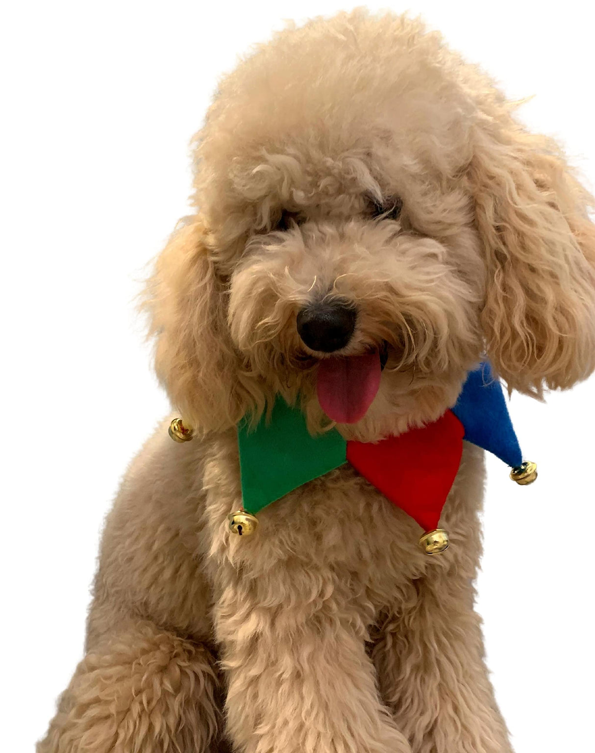 ComfyCamper Jester Clown Dog Costume for Small Medium Large Dog Puppy Puppies Cat Kitten - Cute Costumes Outfits Clothes Accessories - Collar Outfit for Pet Cosplay Halloween Christmas (Large)