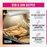 Arcadia T5 UVB Reptile Light Fixture Kit 34" Long 39 Watts 6% UVB Forest – Complete UVB Light for Reptiles, Turtles, Snake, Bearded Dragon Lamp, Long Lasting Easy to Use Professional Lighting