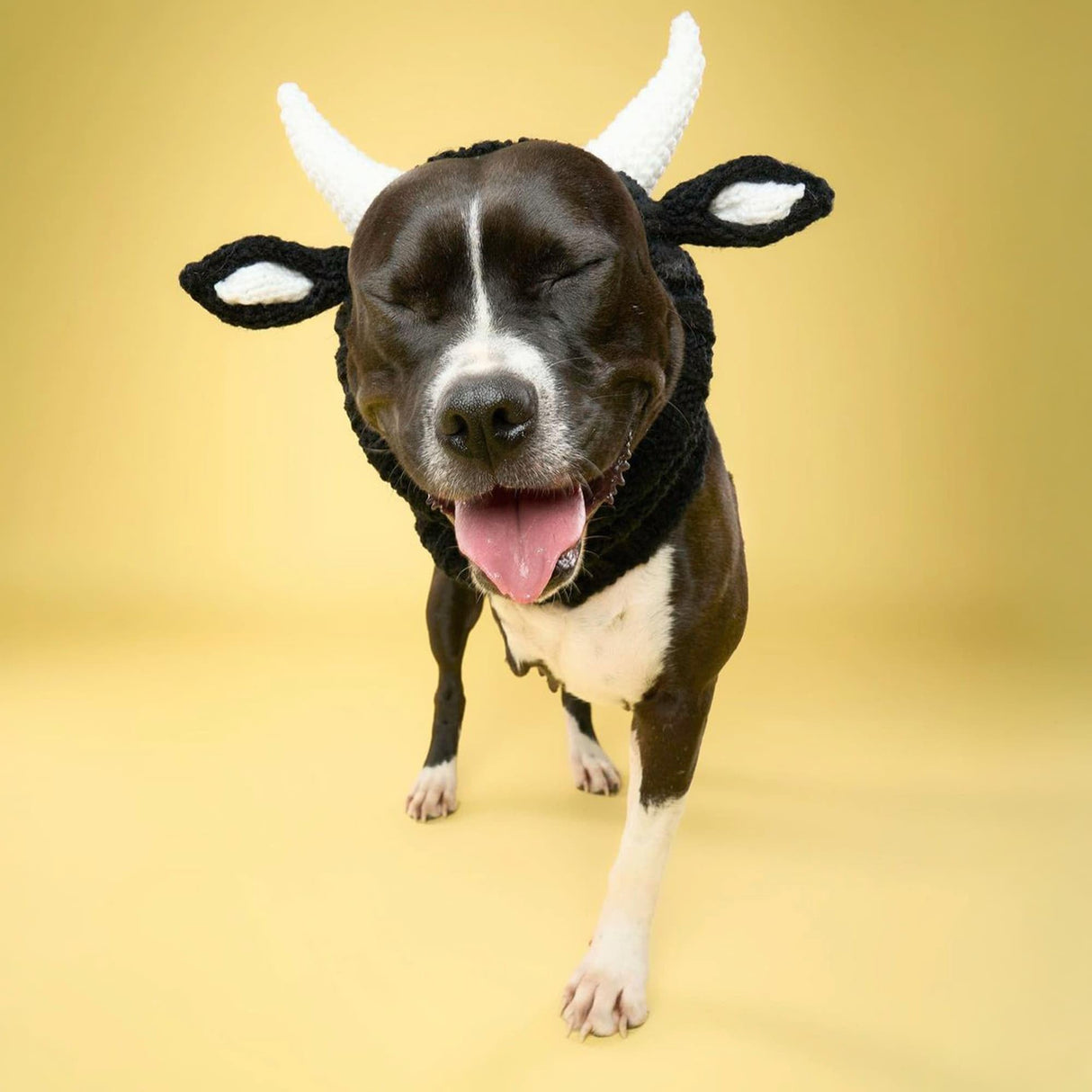 Zoo Snoods Bull Costume - Warm Knit Cow Dog Snood Wrap for Pets, Neck Ear Cover Protection for Halloween Winter (Small)