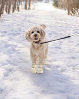 FDIDY Dog Boots for Hot Pavement & Snow – Waterproof Non-Slip Dog Shoes with Reflective Straps, Adjustable Easy-On Pet Booties for Small Medium Large Dogs, Outdoor Paw Protection, 4Pcs