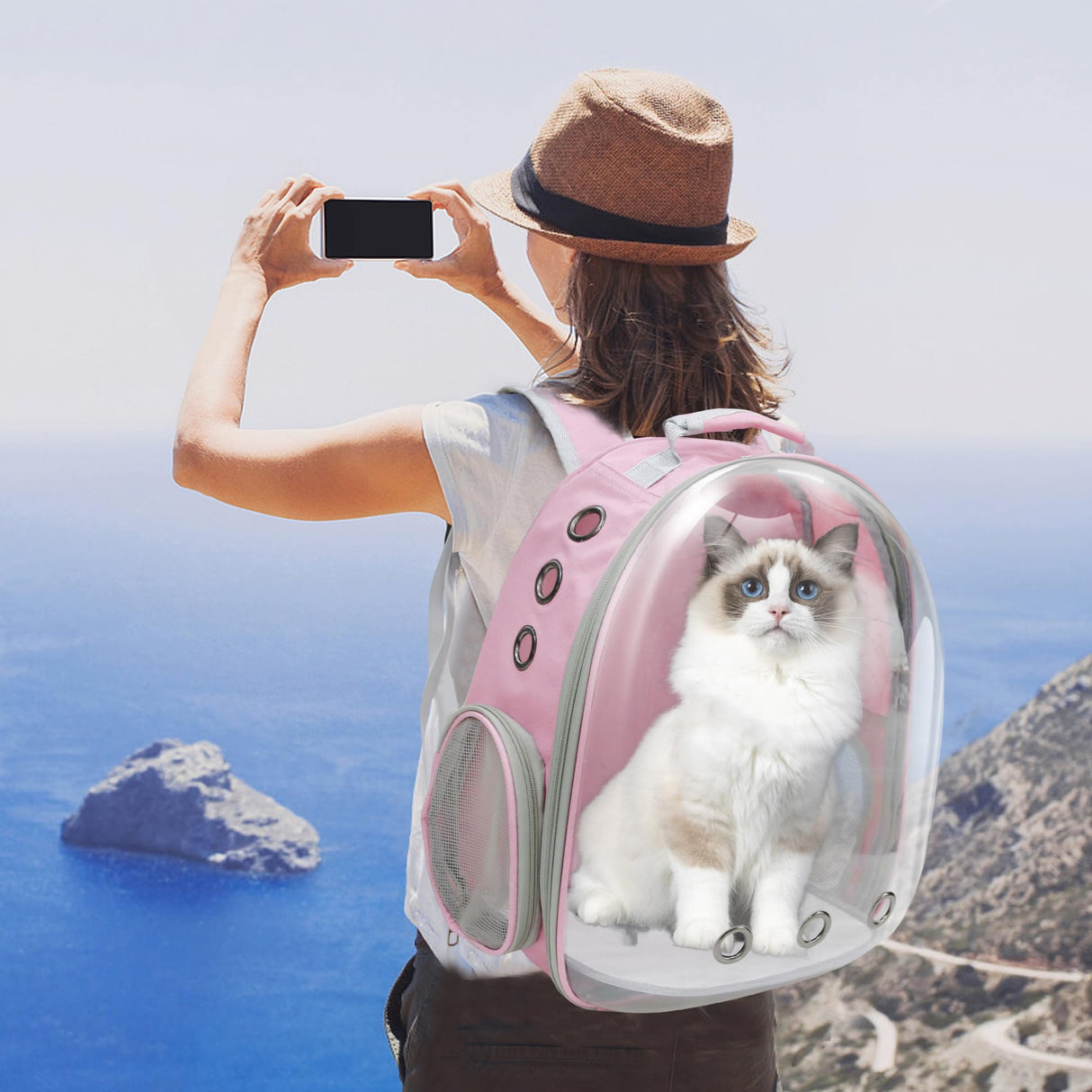 GeerDuo Cat Backpack, Airline Approved Bubble Carrying Bag for Small Medium Dogs Cats, Space Capsule Pet Carrier Dog Hiking Backpack Travel Carrier (Pink)