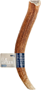 Wag Elk Antler - Whole - Long Lasting for Aggressive Chewers - X-Large 9.5-10.5 inches (Best for Dogs over 45 lbs)