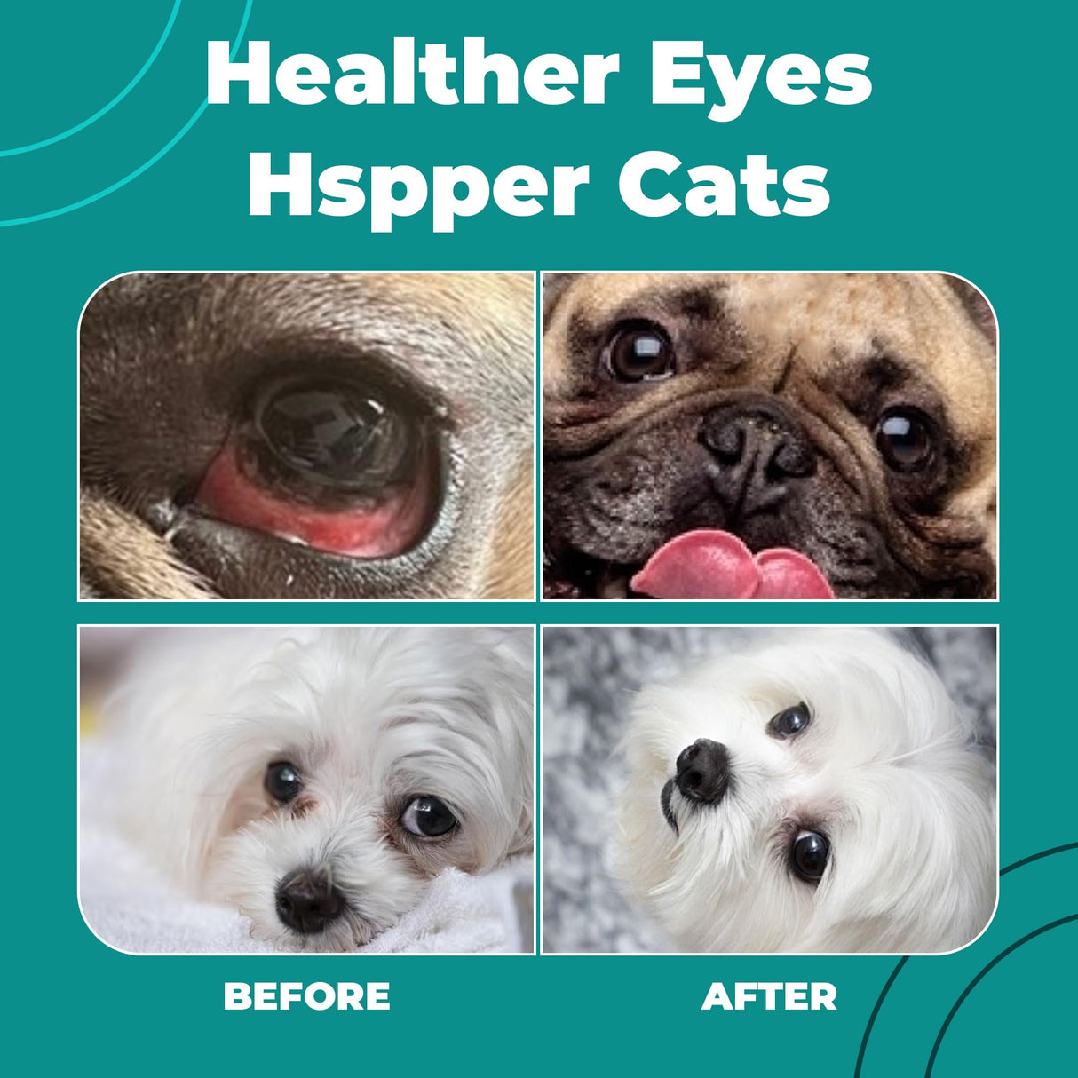 Dog Eye Infection & Eye Care Support Supplements | All-Natural Support for Conjunctivitis, Swelling, Dry Eyes, Tear Stains & Discharge | with L-Lysine, Omega-3 & Lutein + Zeaxanthin | 2.03 fl oz
