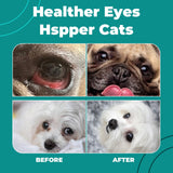 Dog Eye Infection & Eye Care Support Supplements | All-Natural Support for Conjunctivitis, Swelling, Dry Eyes, Tear Stains & Discharge | with L-Lysine, Omega-3 & Lutein + Zeaxanthin | 2.03 fl oz