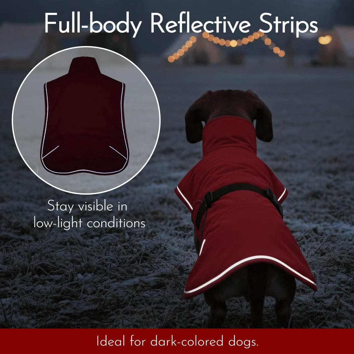 Tiny Dachshund Coat with Warm Fleece Lining, Mini Weiner Vest Jackets, Waterproof & Windproof Wiener Winter Clothes, Outdoor Clothes for Small Dachshunds Puppy, Boys & Girls Long Back Dogs(Red, XS)