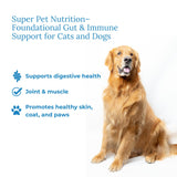 Veterinarian Approved Super Pet Nutrition - for Dogs and Cats - Liposomal Bovine Colostrum, Rich in Immunoglobulins (25%+), Support for Immune and Digestive Systems, Allergies (1.76 Ounces)
