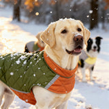 Reversible Waterproof Dog Coat - Adjustable Winter Jacket for Small to Large Breeds, Warm Cold Weather Apparel for Medium Dogs (Army Green & Orange, 2X-Large (Pack of 1))