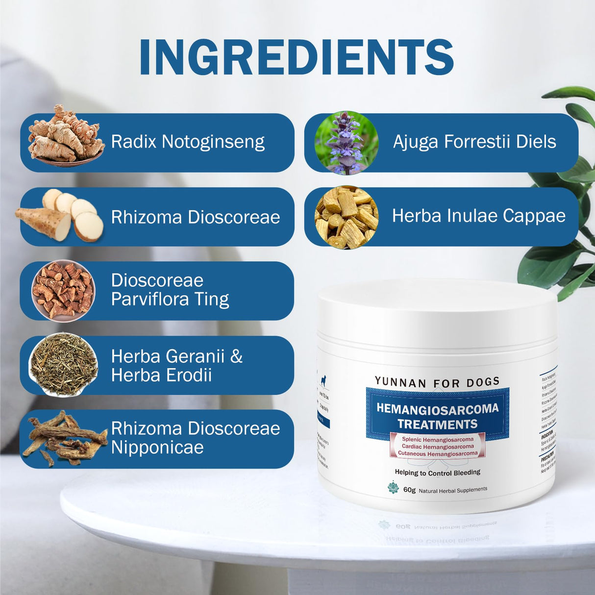 Quick Stop Bleeding for Dogs, Natural Yunnan Sanqi & Herbal Powder, Supports Internal Bleeding, Hemangiosarcoma, Bloody Stools, Post-Surgical Recovery, Ulcers, Severe Bruising, 60g