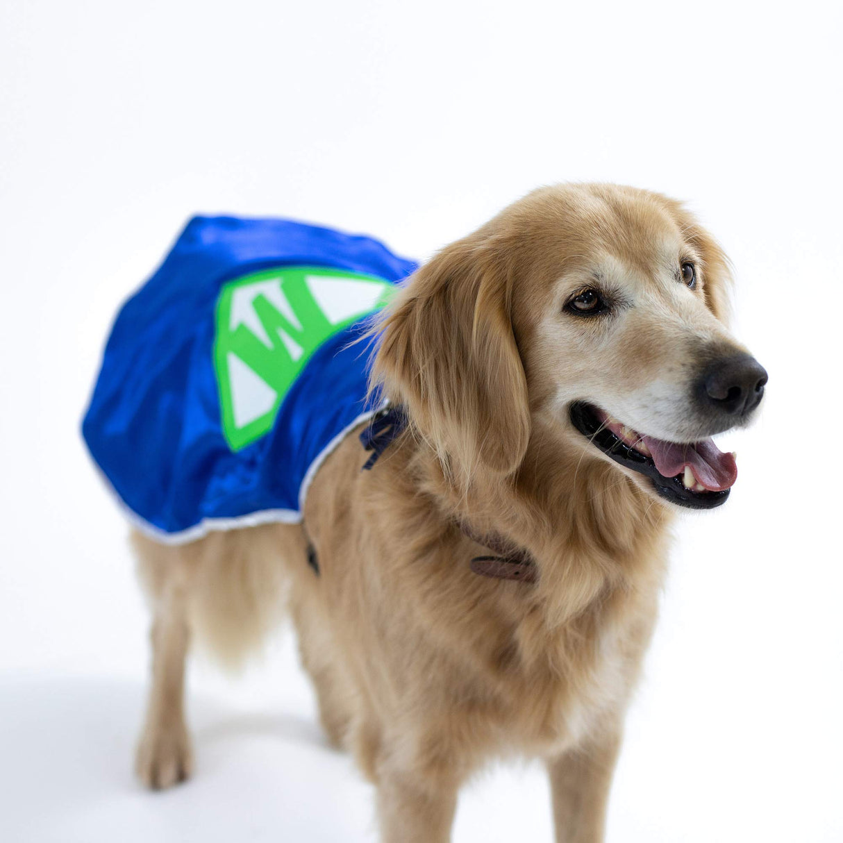 Everfan Personalized Dog Superhero Cape (X Large 25" Long (50-90 lbs), Navy Blue)