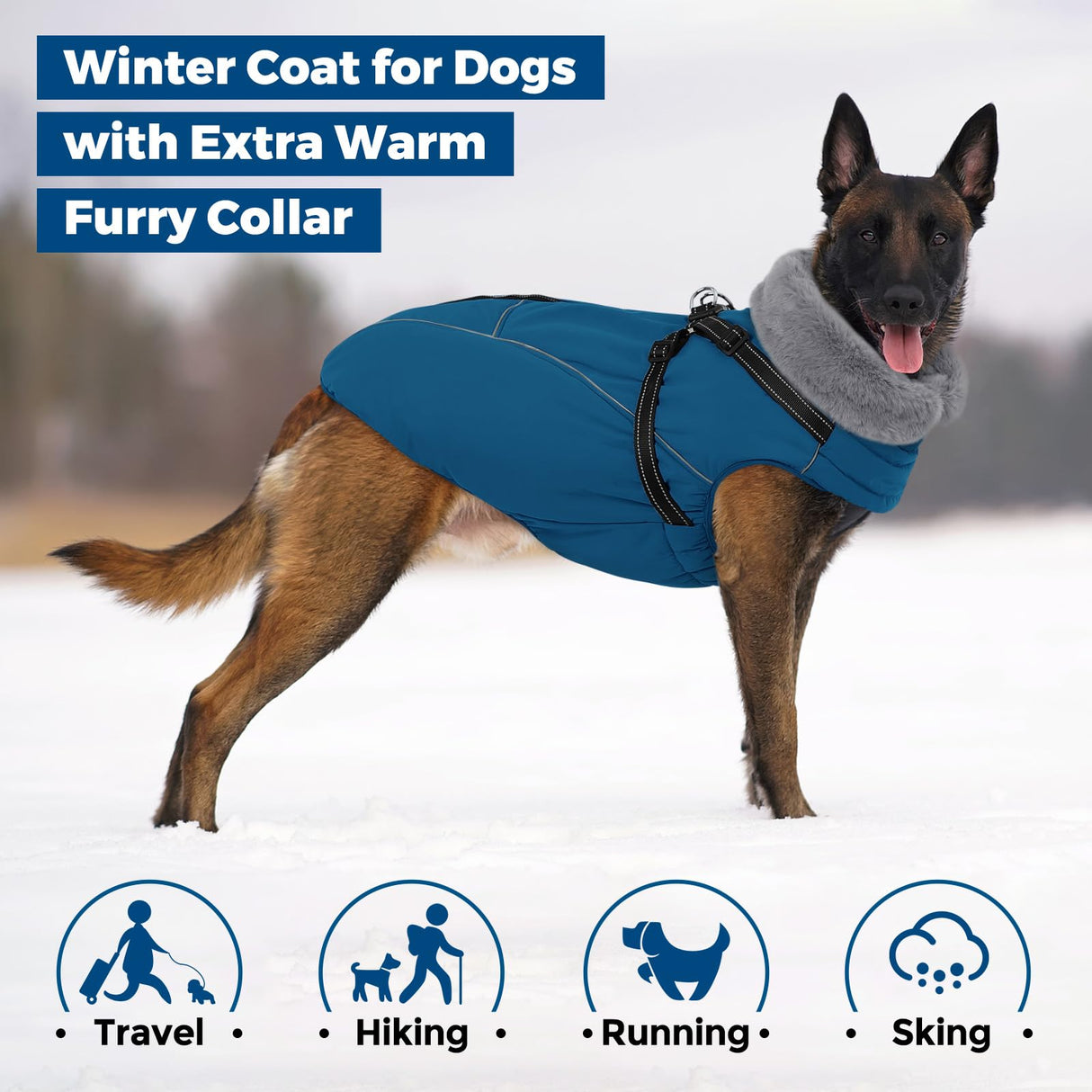 Queenmore Dog Coat,Windproof Dog Coat for Medium Dogs,Dogs Jackets with Harness Built in,Waterproof Doggy Coats with Zipper On Back,Reflective Cold Weather Coats for Dachshund，Boston Terrier,Blue,M