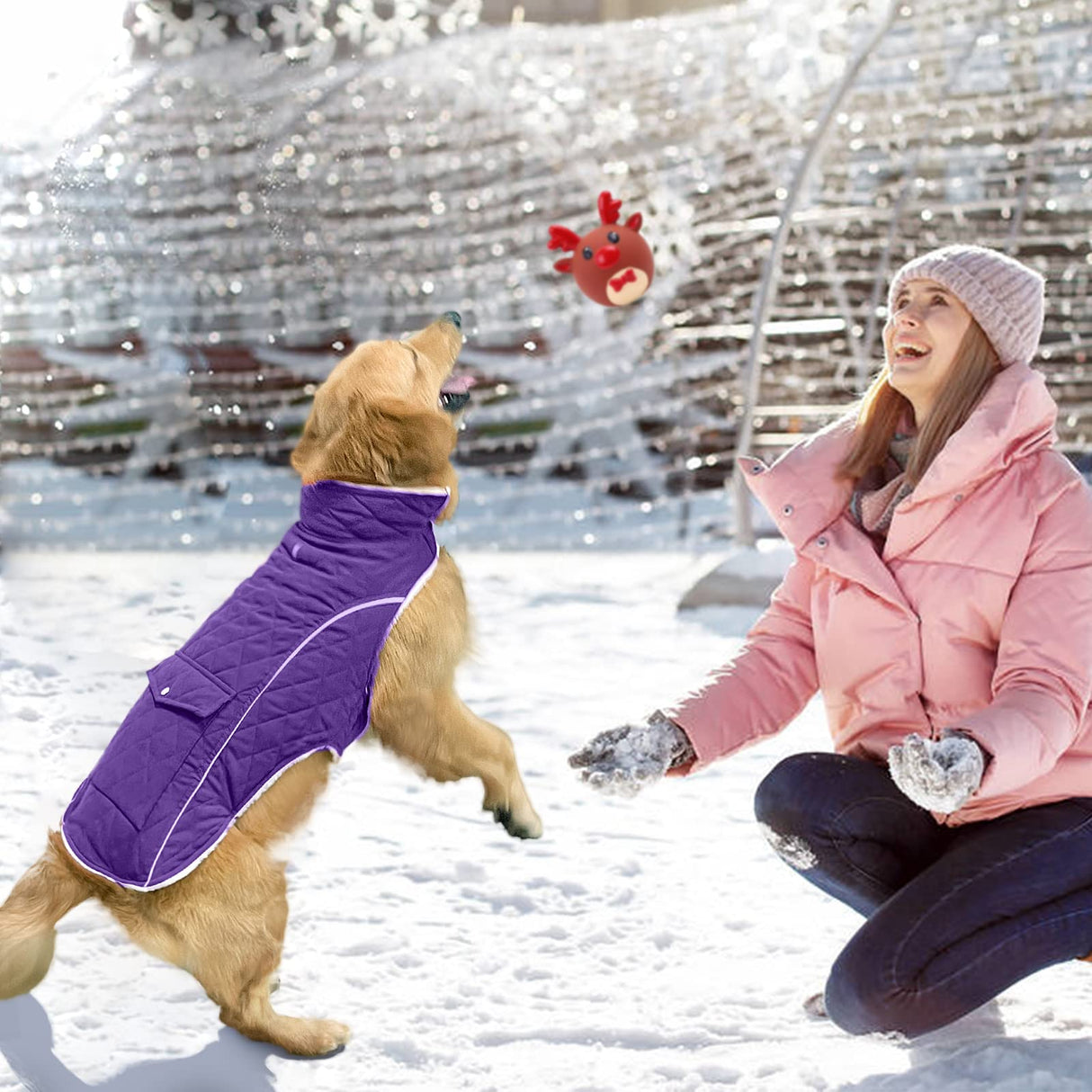 Malier Dog Winter Coat, Windproof Dog Cold Weather Coats with Real Pocket, Winter Extra Warm Pet Coat Fleece Jacket Reflective Clothes for Small Medium Large Dogs and Puppy (Purple, Large)