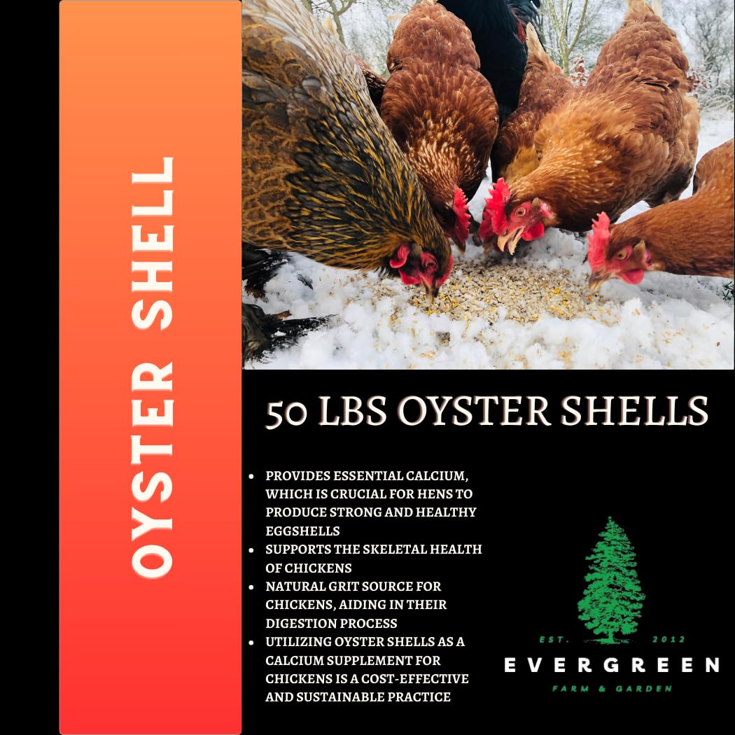 Evergreen Farm and Garden 50 lb Bag Oyster Shell - Calcium Rich Bird Grit (50 Pound (Pack of 1))