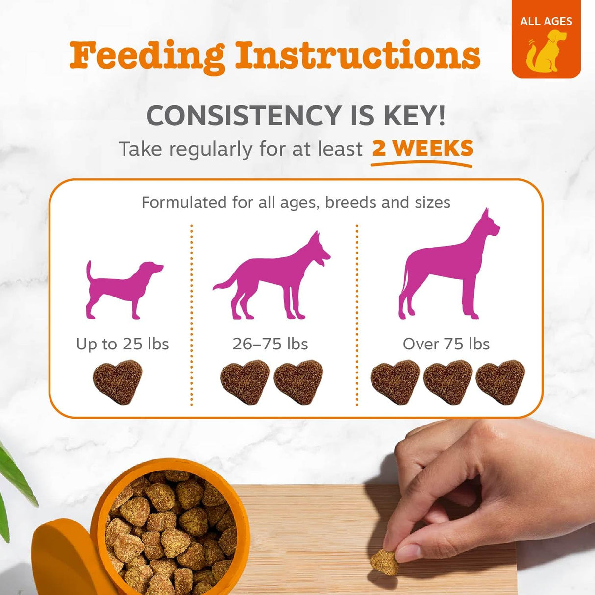Zesty Paws Salmon Oil for Dogs Skin and Coat, Omega 3 Fish Oil Chews, Dog Allergy Relief Chews, Itch Relief Supplement, 250 Count, Salmon Flavor