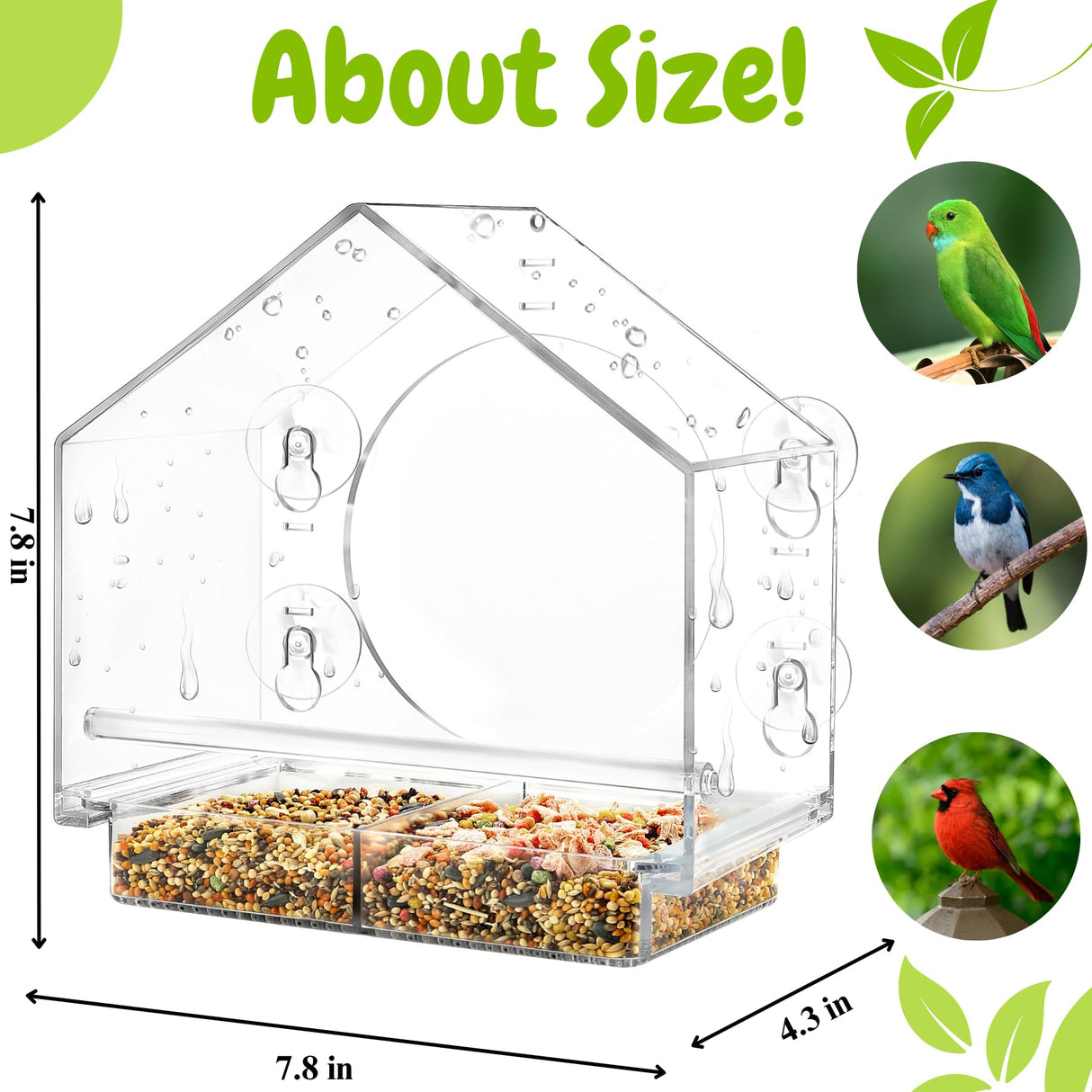 Window Bird Feeder with 4 Super Strong Suction Cups for Cat Elderly Kids,Large Clear Bird House with Detachable Seed Tray&Drainage Holes,Bird Feeder Window for Outside Viewing Wild Birdsy.