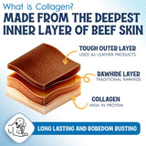 Fetcheroni 12" Collagen Sticks for Dogs – Low Odor Long-Lasting Bully Stick & Rawhide Alternative, Single Ingredient Beef Bone, High Protein Dental Treat, Vet Approved, Improves Joint Health – 10 Pack