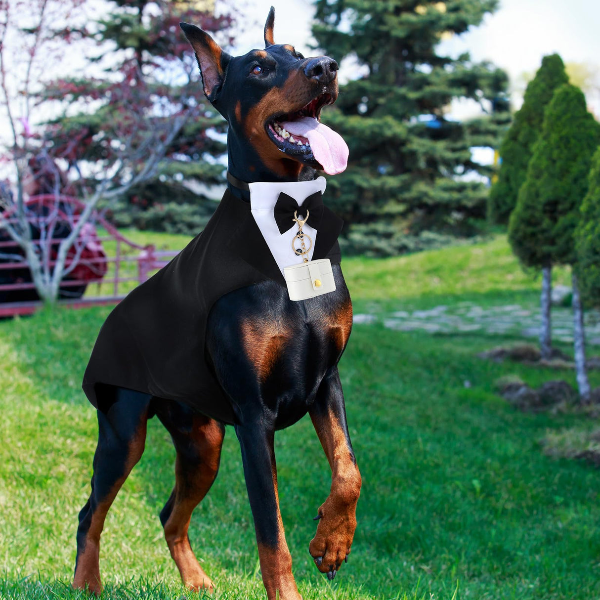 Huhumy 4 Pcs Dog Wedding Tuxedo Outfit for Large Dogs Pet Ring Box Security Gift Set Include Wedding Ring Holder Pouch Box Formal Dog Tux PU Leather Leash Black Gentleman Pet Tux with Bowtie Set