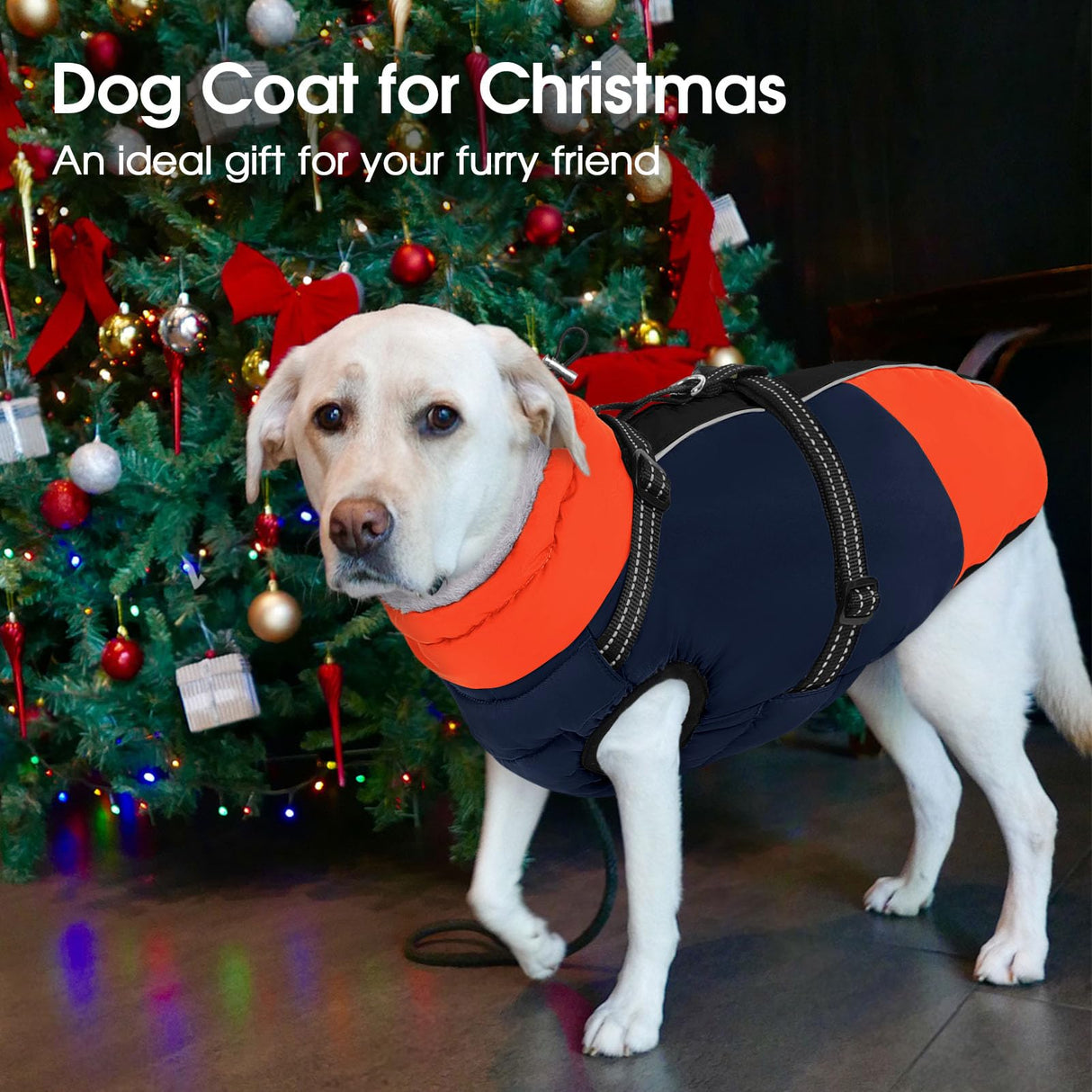 SUNFURA Dog Coat for Small Dogs, Warm Dog Winter Jacket with Harness Built in, Waterproof Pet Snow Jacket Fleece Cold Weather Coats for Puppy Chihuahua, Maltese, Blue XS