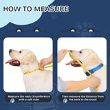 Sponge Core Dog Cone, Inflatable Dog Cone Collar Alternative, Dogs Donut Collar After Surgery, Soft Cone for Large Medium Small Dogs to Stop Licking, No Inflation Required, Clear View(Size 6, Gray)