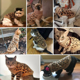 Mihachi Winter Warm Cat Sweater Turtleneck Puppy Pets Sweater Knit Vest Fashion Leopard for Cats Puppy Small Animals Brown Large