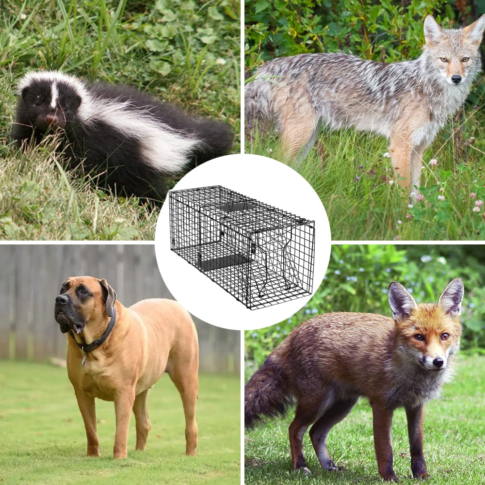 Toriexon Large Live Catch Animal Traps Black 51 X19 X17 Inch, Easy to Set and Release Live Animal Trap, Collapsible Large Animal Catcher Cage for Large Dogs, Foxes