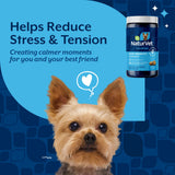 NaturVet Quiet Moments Calming Dog Supplement, Dog Soft Chews with Melatonin to Help Reduce Stress from Storms, the Vet, Fireworks, and Travel, Bacon and Chicken Flavored Pet Supplement, 240 Count Jar