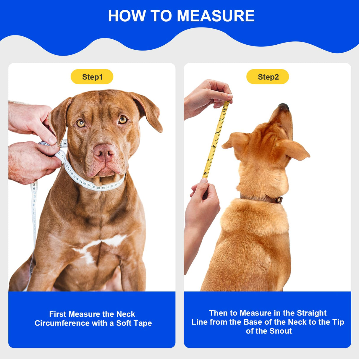Lainergie Adjustable Soft Dog Cone Collar for After Surgery Recovery, Comfortable Pet Recovery Protective Collar for Medium Large Dogs, Elizabethan Dog Neck Collar (XL, Black)