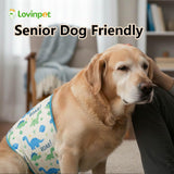 LovinPet 3-Layer Dog Belly Warmer Calming Wrap, Adjustable Abdominal Protector for Medium and Large Dogs, Anti-Chafe Moisture Barrier, Memory-Foam Core + Mesh Lining, Dinosaur Print,White