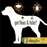 Happy Jack Paracide Flea & Tick Shampoo and Treatment for Dogs & Cats, Flea and Tick Prevention for Pets, 8 oz
