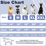 FloofeLove Dog Sweaters for Small Dogs, Fleece Varsity Jacket Winter Clothes Cute Stylish Boy & Girl Dog Sweatshirts, Blue Sport Coats Baseball Uniform Jackets for Puppies, S(5-8lbs)