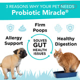 NUSENTIA Probiotics for Dogs -(360 Scoops)-Probiotic Miracle -Advanced, Species Specific Probiotics and Prebiotics to Stop Diarrhea, Loose Stool, and Yeast-Plus Immune Support