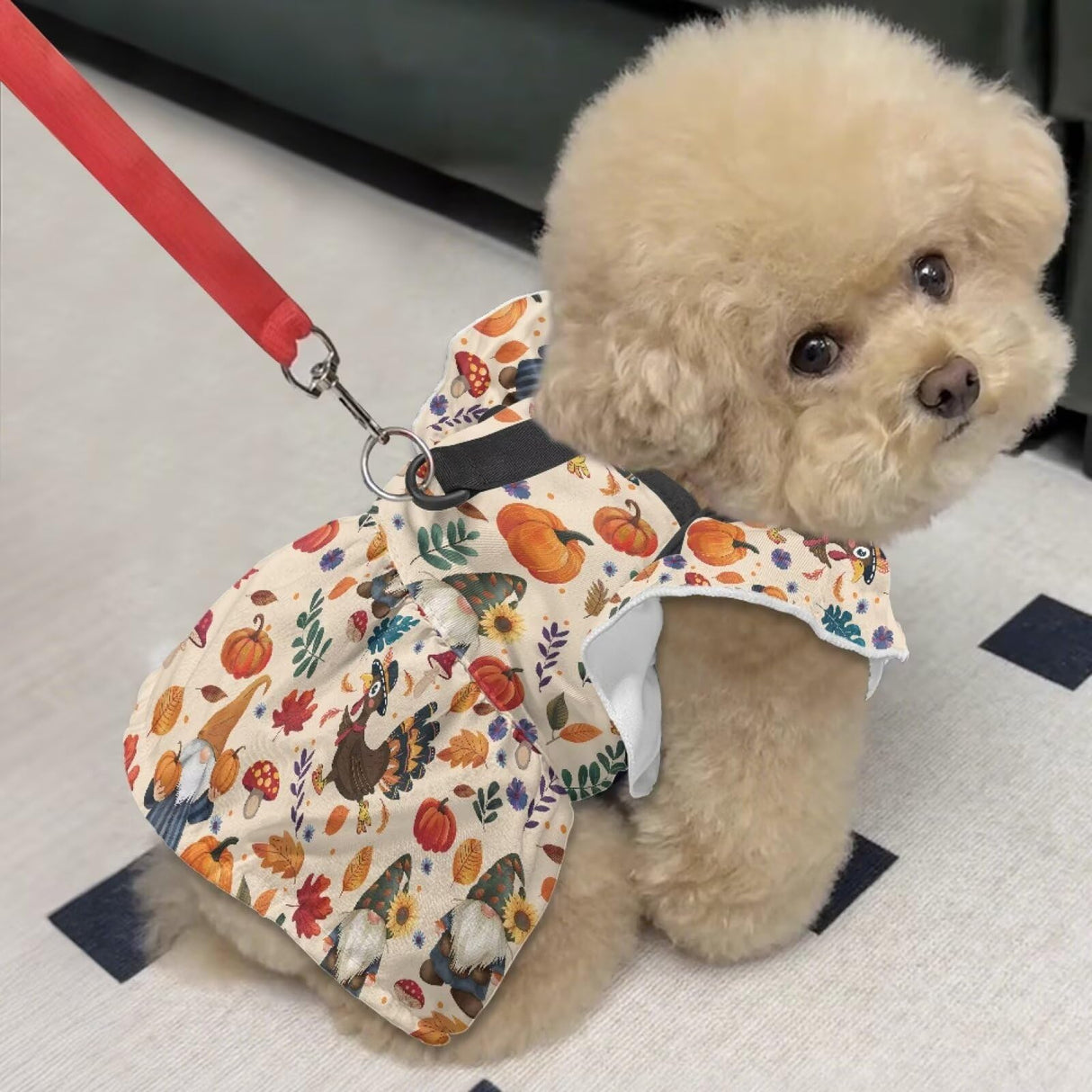 Wiryuouvt Autumn Turkey Gnome Dog Thanksgiving Outfit Fall Dog Dresses for Small Dogs Girl with Leash Ring & Sleeve Ruffles & Breathable, Light Weight Puppy Princess Dress Cat Pet Clothes Apparel