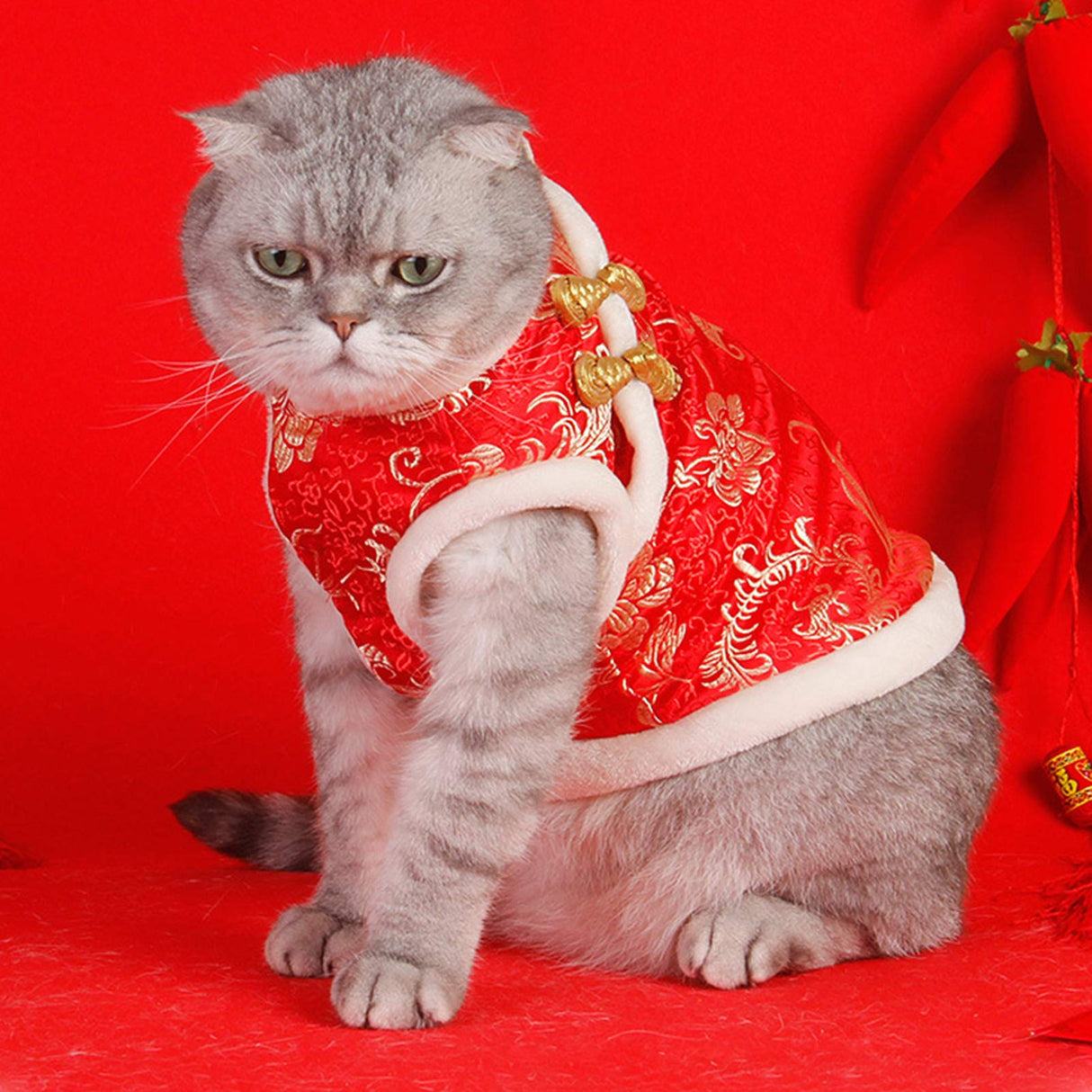 SEIS New Year Cat Knot Buttons Coat Dogs Cheongsam Winter Pet Clothes Vest of The Tang Dynasty Christmas Costume for Cats Teddy Bichon Small Medium Dogs (White, L (Chest Circumference 63cm/ 24.8"))