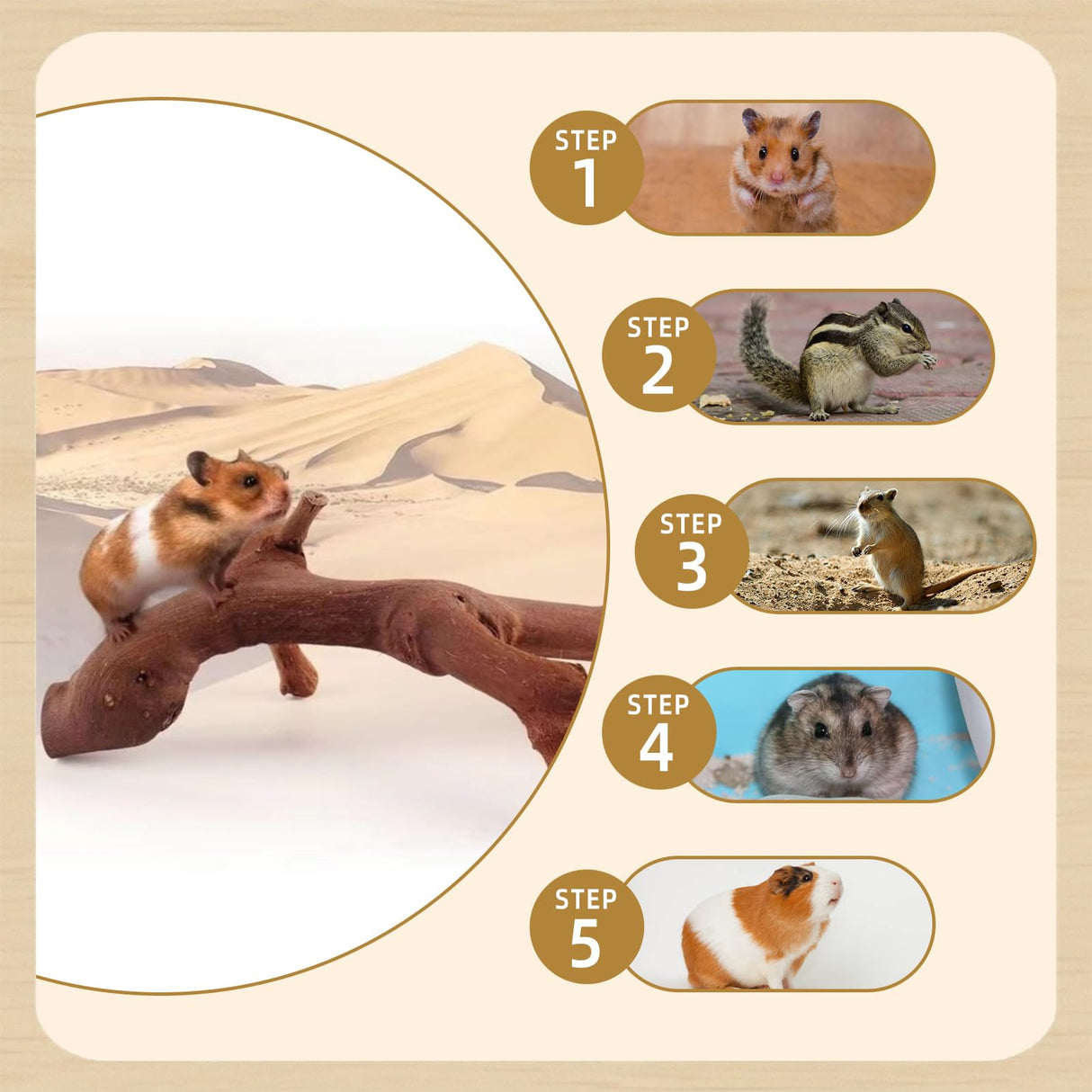 kathson 2PCS Wood Hamster Climbing Branches Decor, Natural Wooden Syrian Hamster Climb Chewing Toys, Rat Exercise Toys, Small Animal Habitat Decor Accessories for Dwarf Pets, Gerbils, Mice (7.8IN)