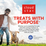 Cloud Star Dynamo Dog Skin & Coat Soft Chews Grain Free Dog Treats, Salmon, 14 oz. Pouch