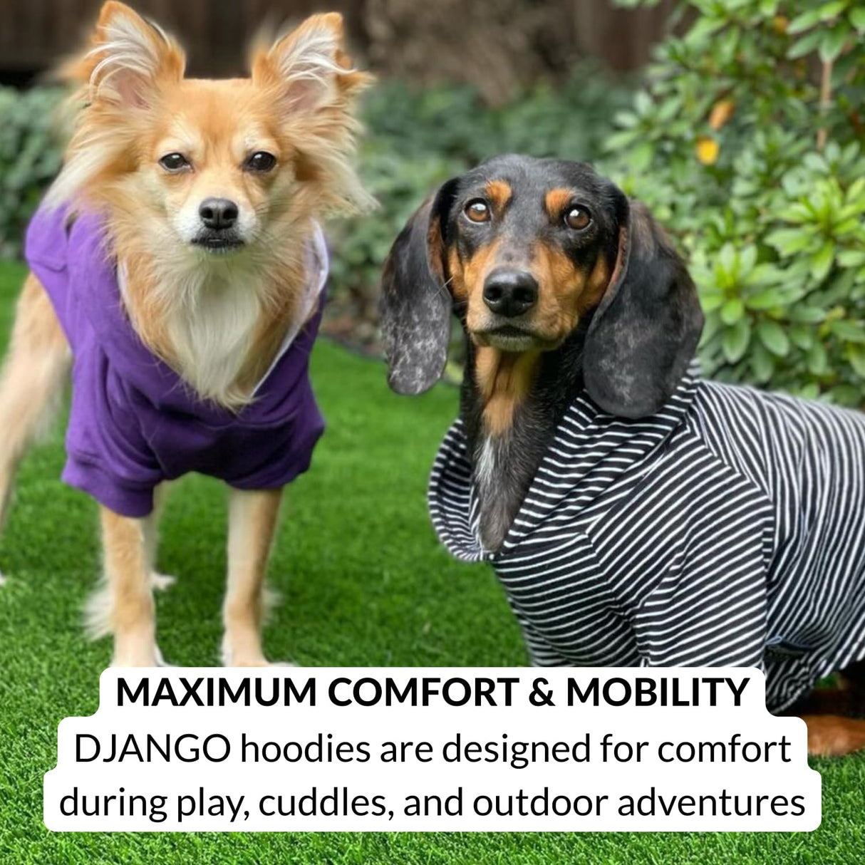 DJANGO Dog Hoodie – Warm Winter Dog Sweater & Fully Lined, Cozy Sweatshirt for Small & Medium Dogs, Dachshunds – Soft, Stretchy, Puppy Hoodie with Leash Portal, Elastic Waistband – Quartz Pink, Small