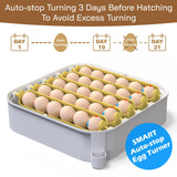 MATICOOPX 30 Egg Incubator with Humidity Display, Egg Candler, Automatic Egg Turner, for Hatching Chickens