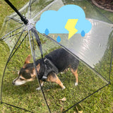 NAMSAN Dog Umbrella for Small Dogs, Self-Assembly Dog Umbrella Leash, Clear Doggie Rain Umbrella, Puppy Walking Umbrella with Adjustable Leash