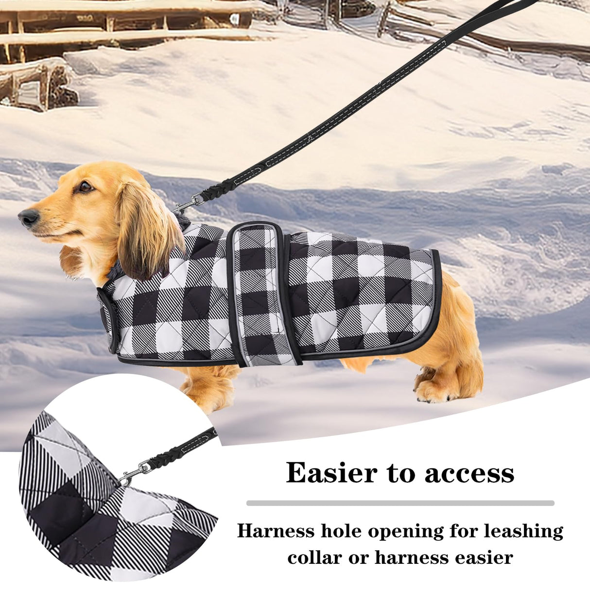 Geyecete Waterproof Warm Thermal Quilted Dachshund Coat with Warm Fleecy Lining Inside,Outdoor Dog Apparel with Adjustable Bands for Small,Medium Dog-Black-M